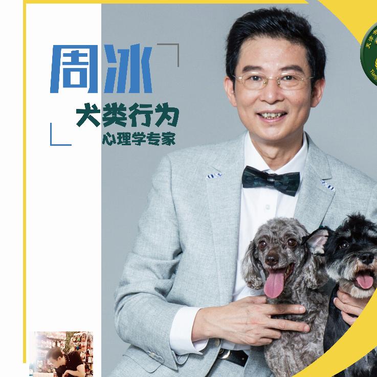 周冰说宠