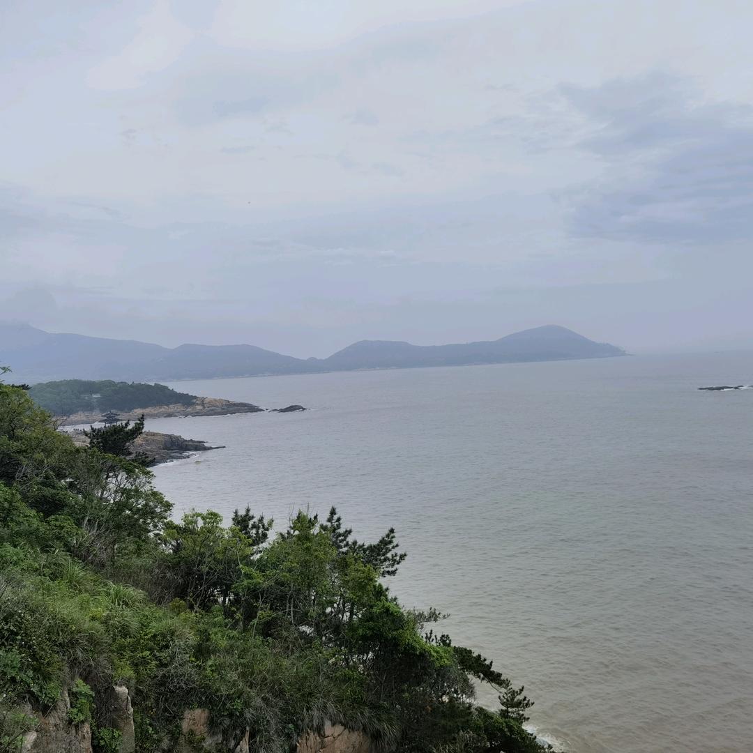 小海豚长大了