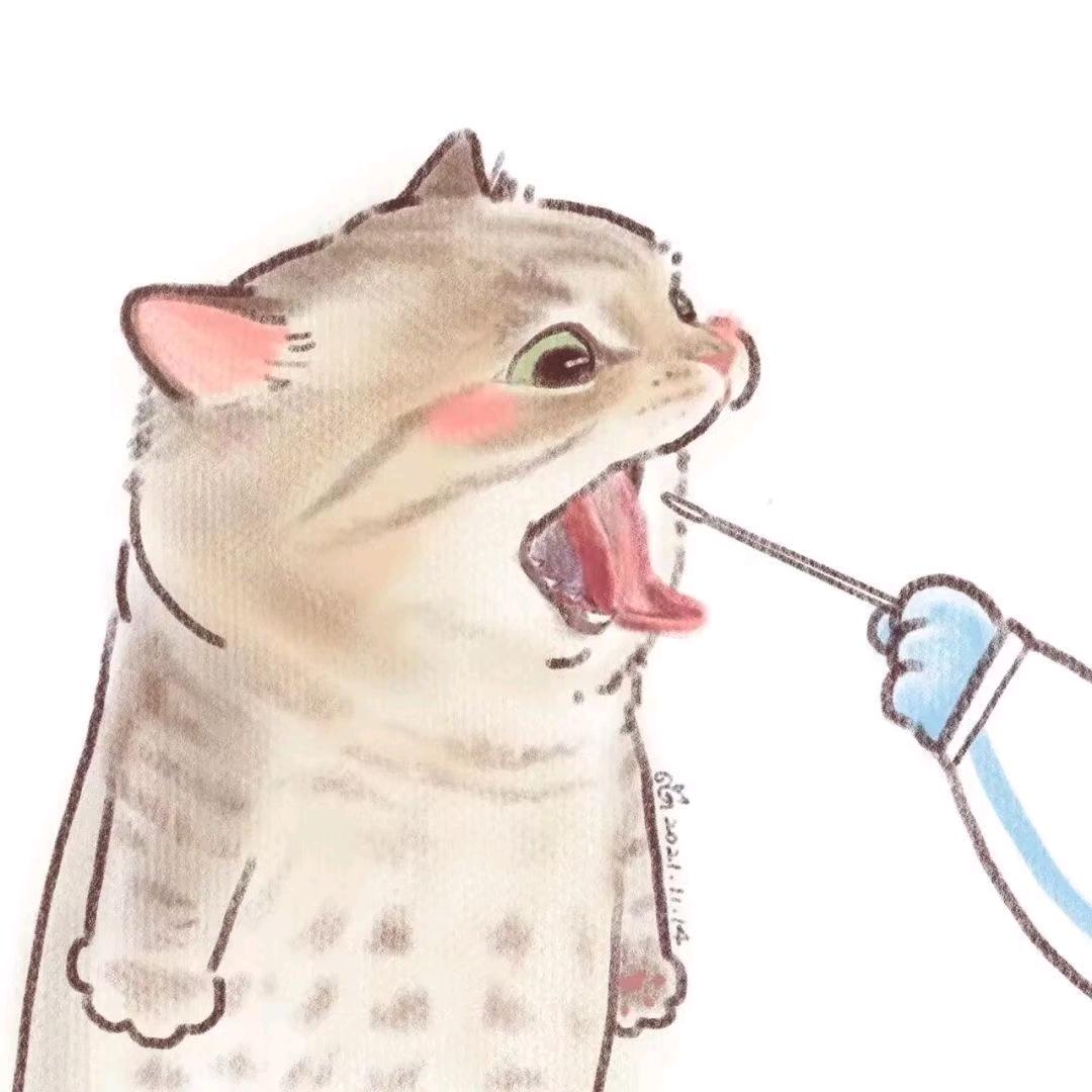你的化学包老师