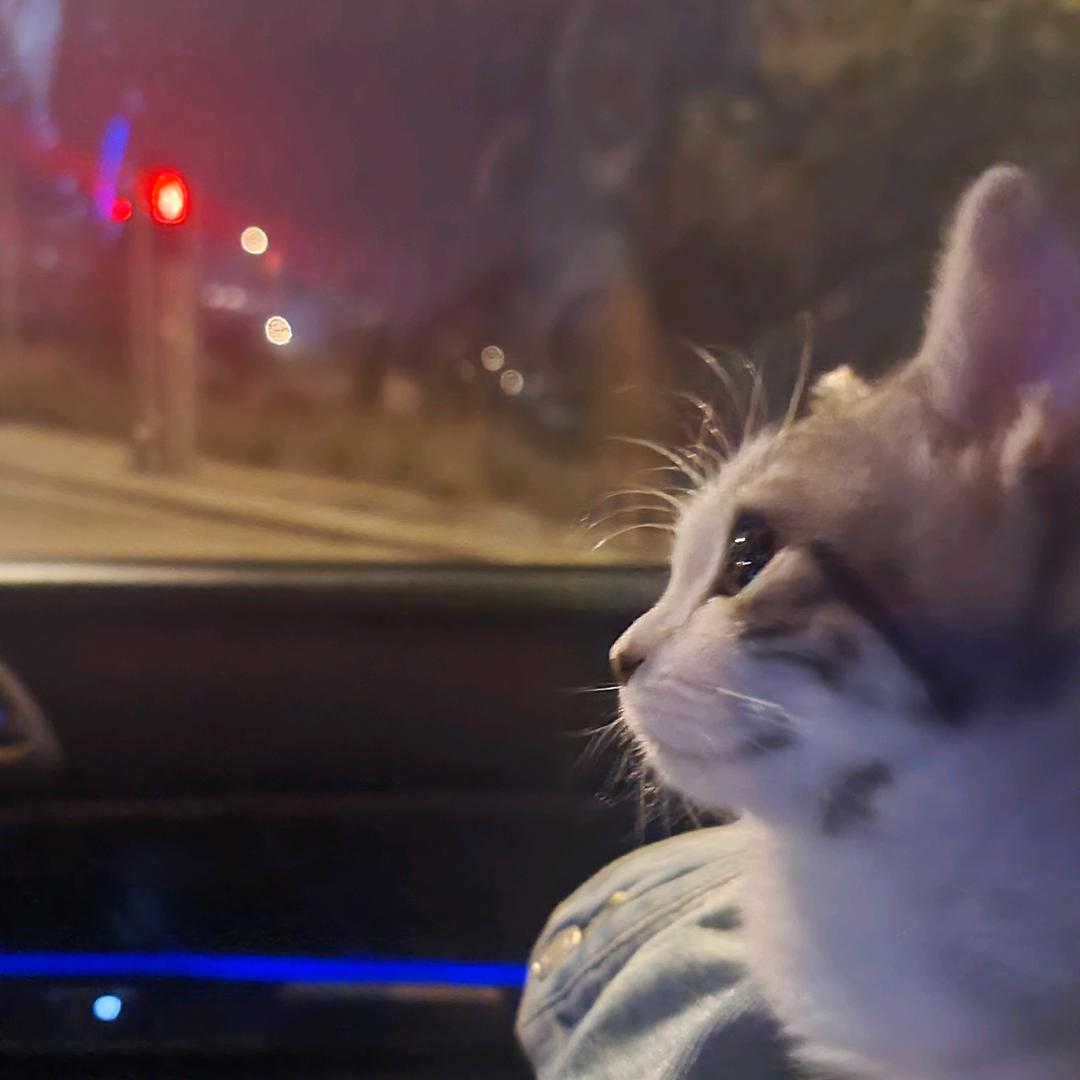 我心有你的穿过