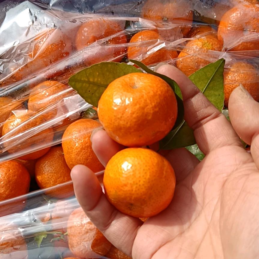 水果姐🍊平价水果平顶山同城免费送货