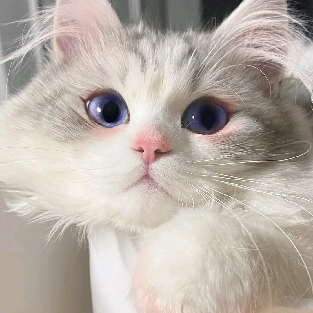 :)