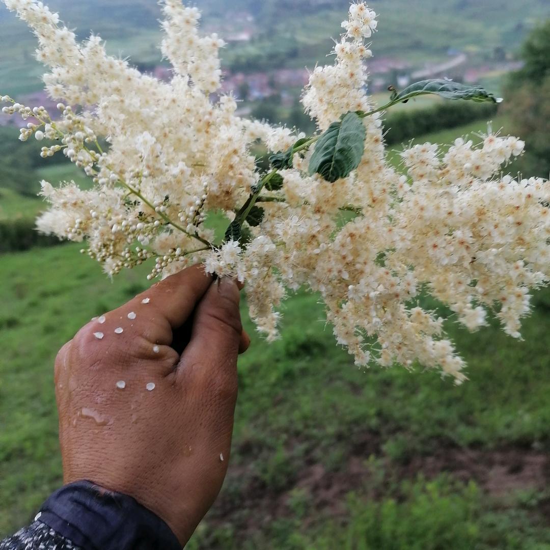 ᰔᩚ᭄༄心甘💞ꦿ情袁꧔ꦿ᭄࿐