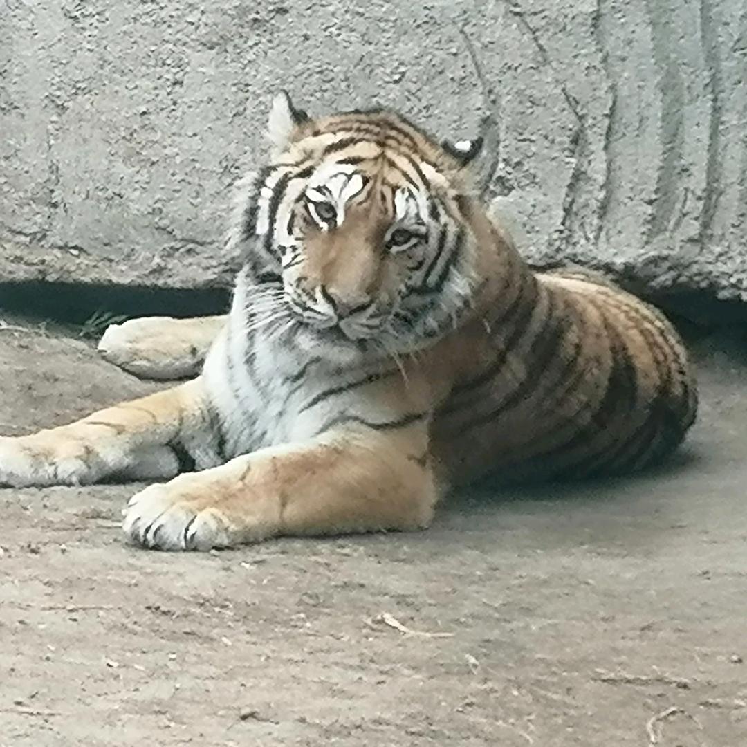 阴晴圆缺