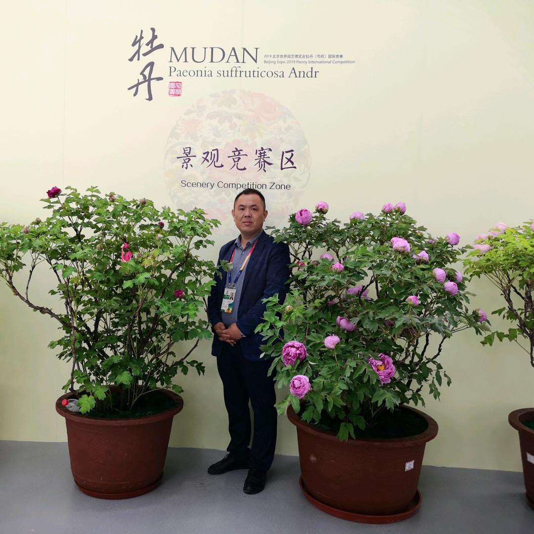 菏泽诚美牡丹