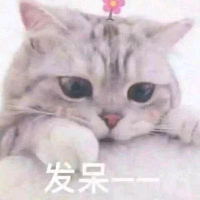 半疯半傻的阿桥