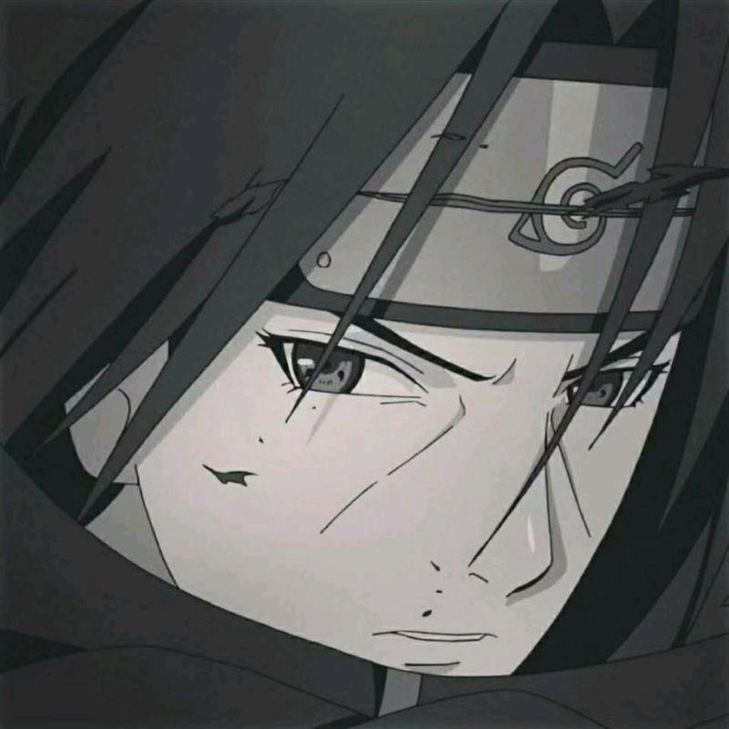 火影忍者(一打七)