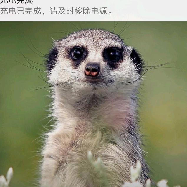 常老五专业室内瓷砖铺贴