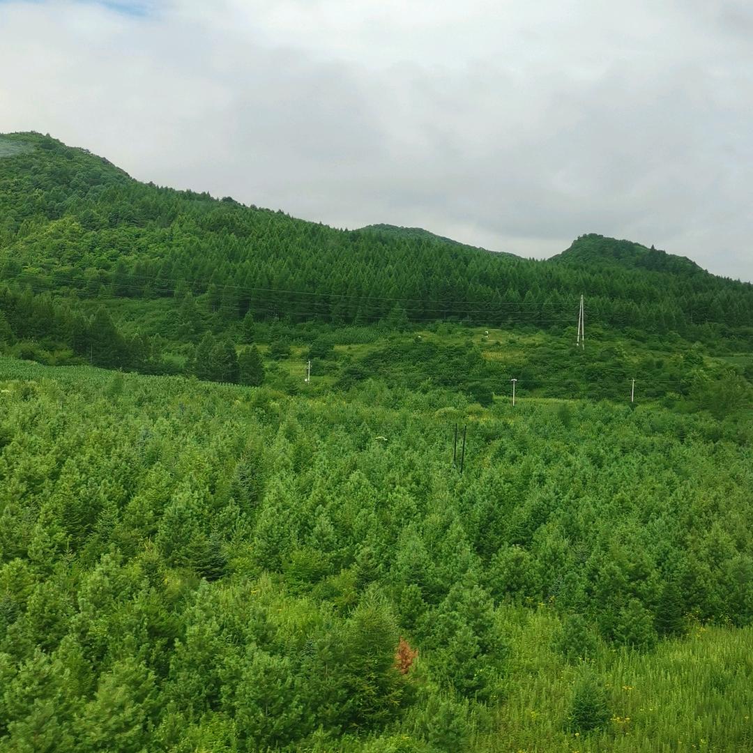 熙熙爱吃肉
