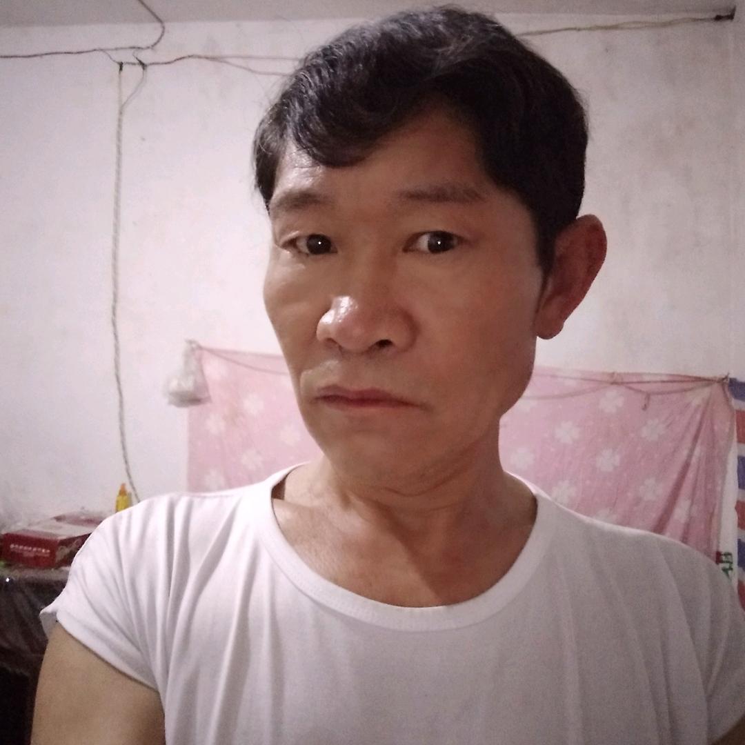 无疆的野马