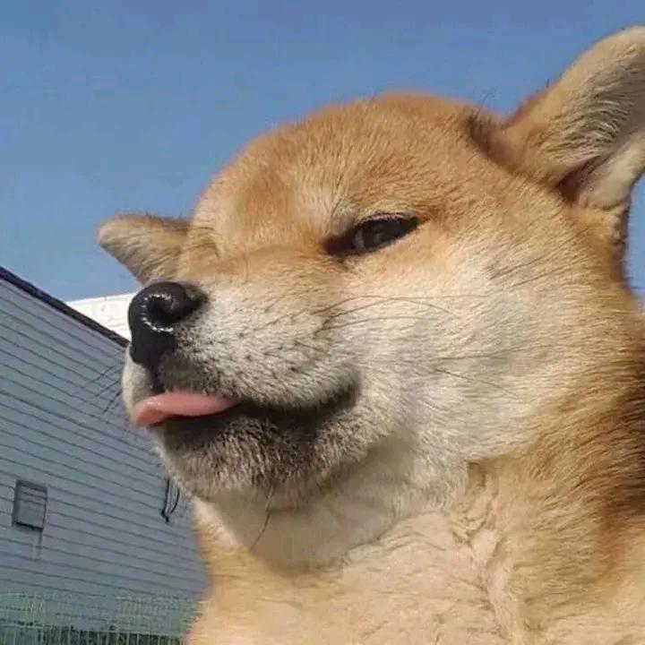 好久不见