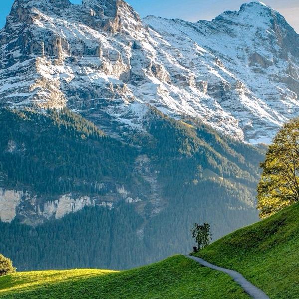 用户9199190521484。