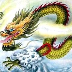 龙🐉行天下