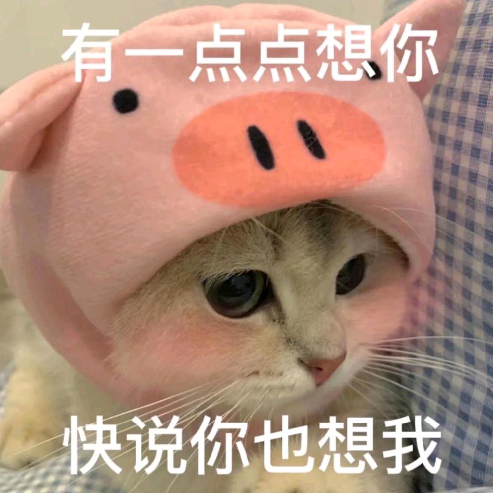 秋分九月天