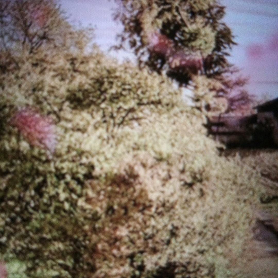 🌈武*是🌈🌈🌈🌈