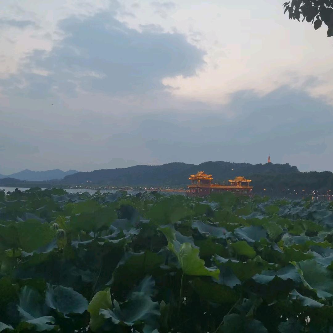 夏夜微风