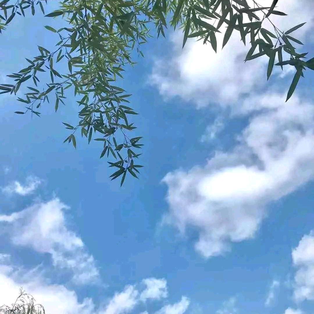 风和日丽在路上