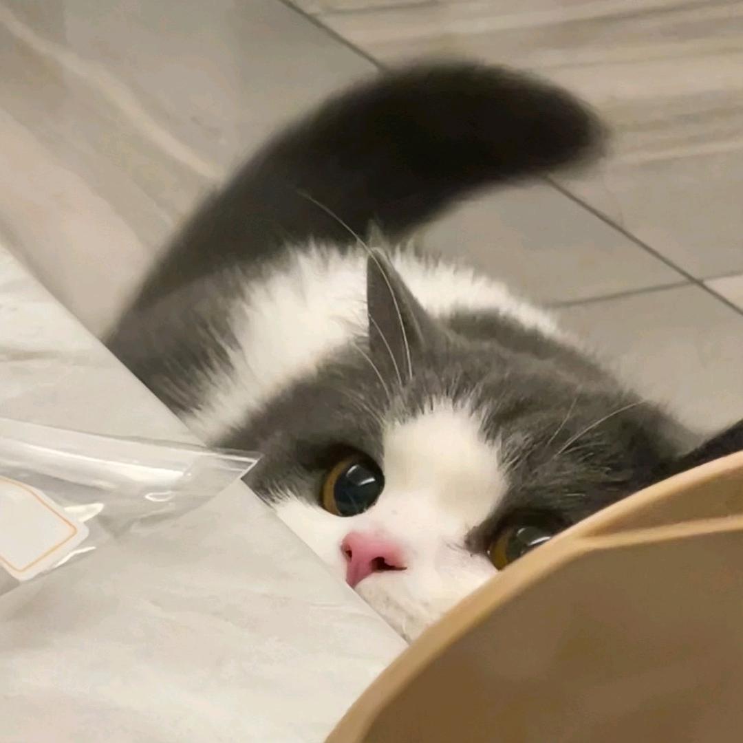 ne