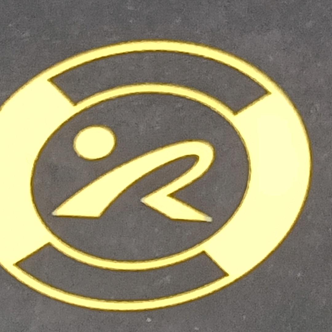 界首市新日电动车