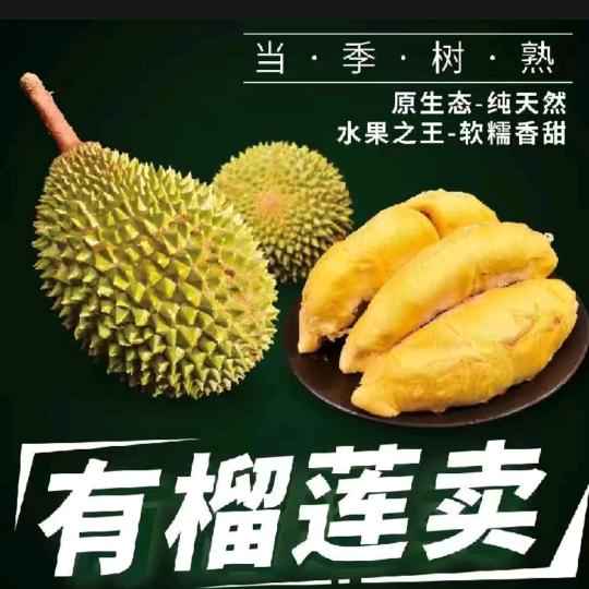 🍂泰国榴莲小哥🎋