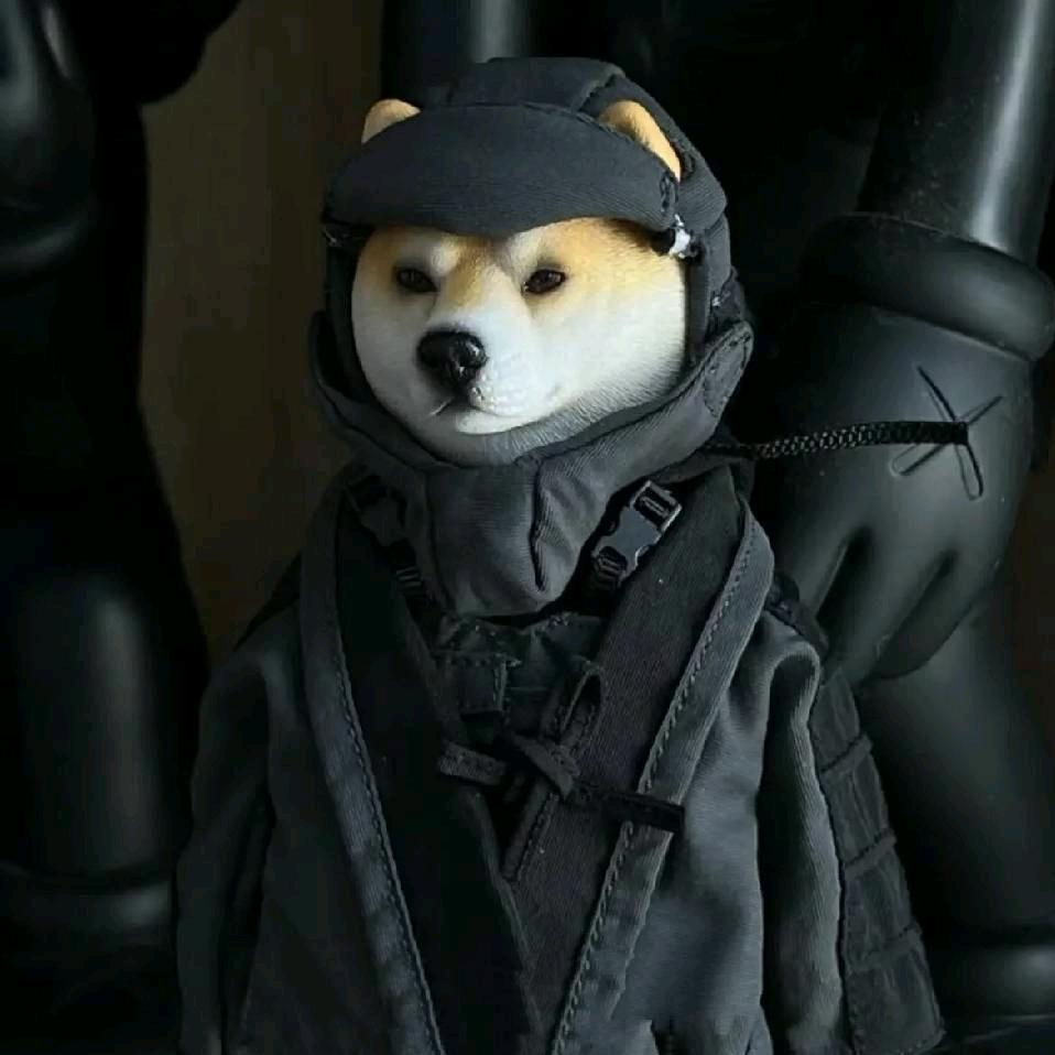 明早早起.