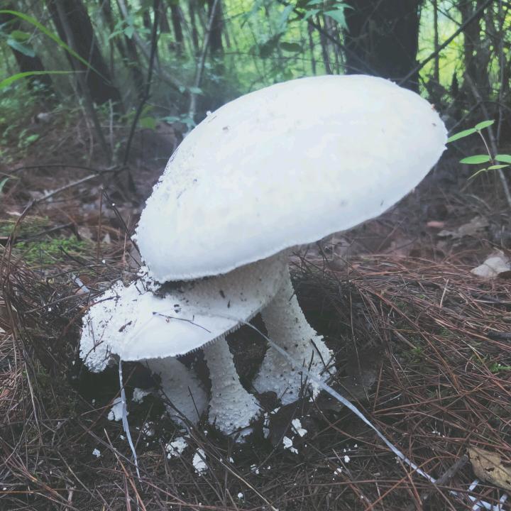 ☞缘☜来是我的错💏