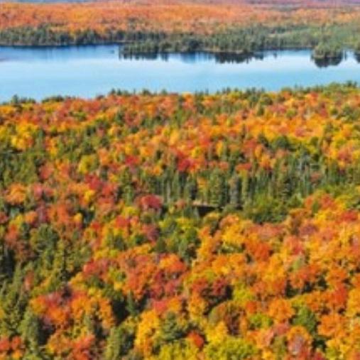 😌😌😌😌😌😌