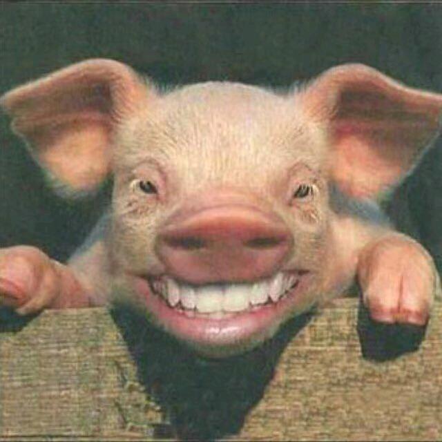 疯人院第一高手