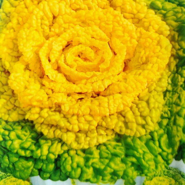 红峰种业企业店