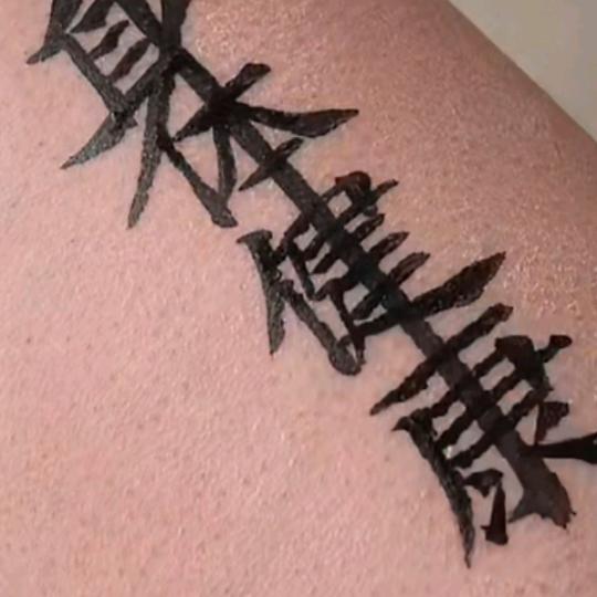 命里有时终须有，命里无时莫强求