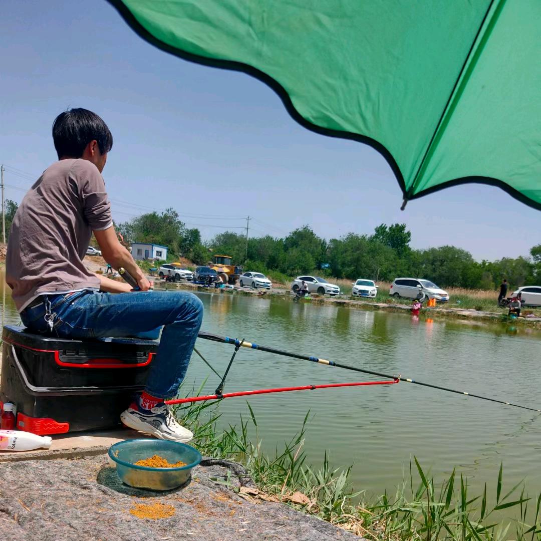 赤鹤鱼饵源头加工