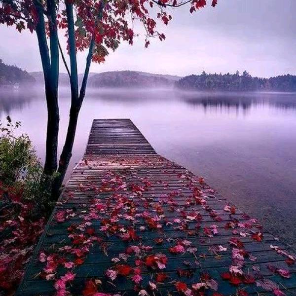 可以的不可以的