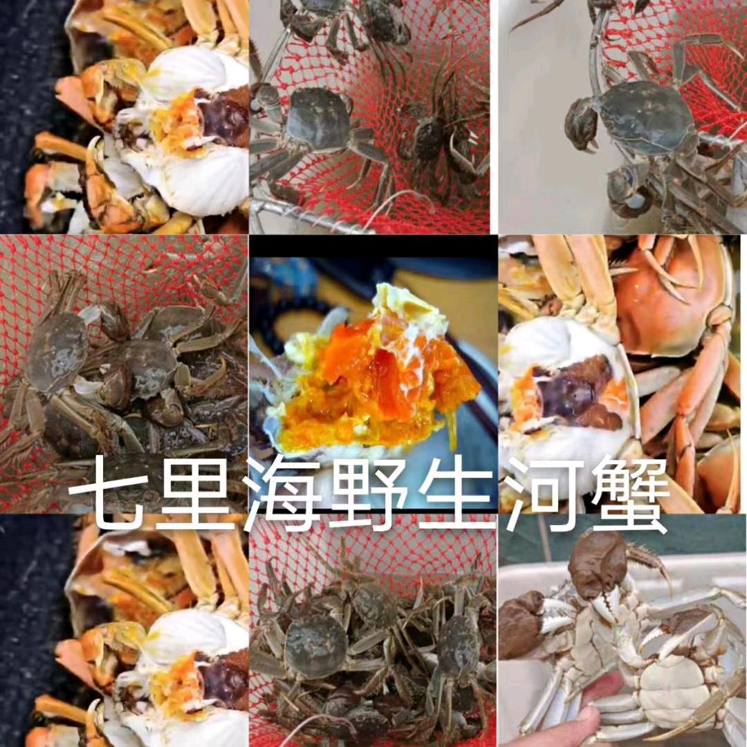 大喜子七里海精品河蟹