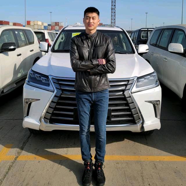 天津港亮亮进口车