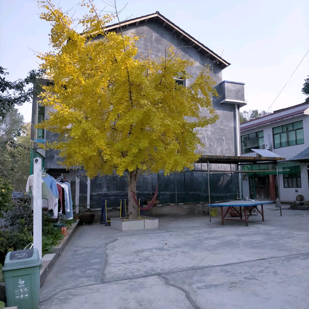 用户8213546007100