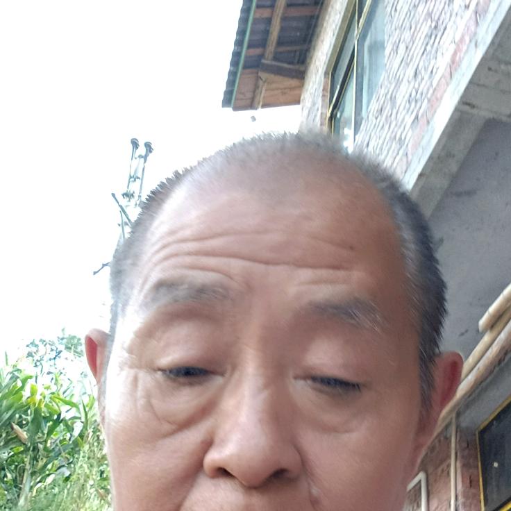 特么来咯诺王光树
