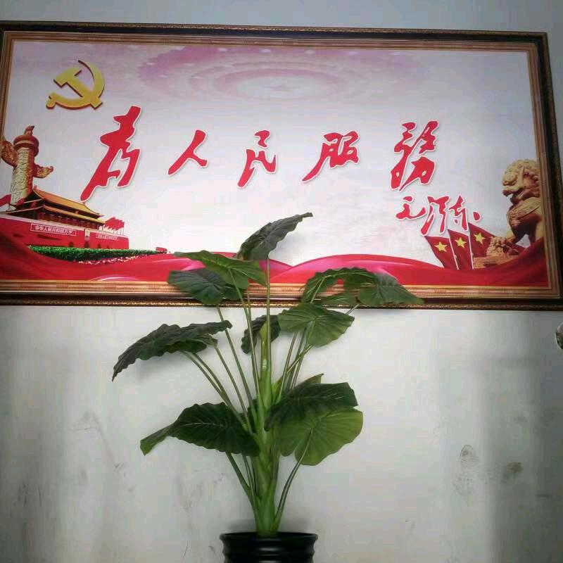 北皇琪炒哥，