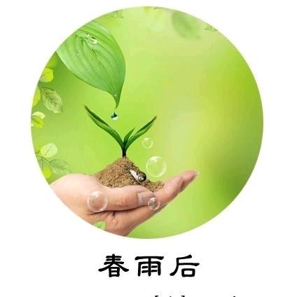 振兴装饰