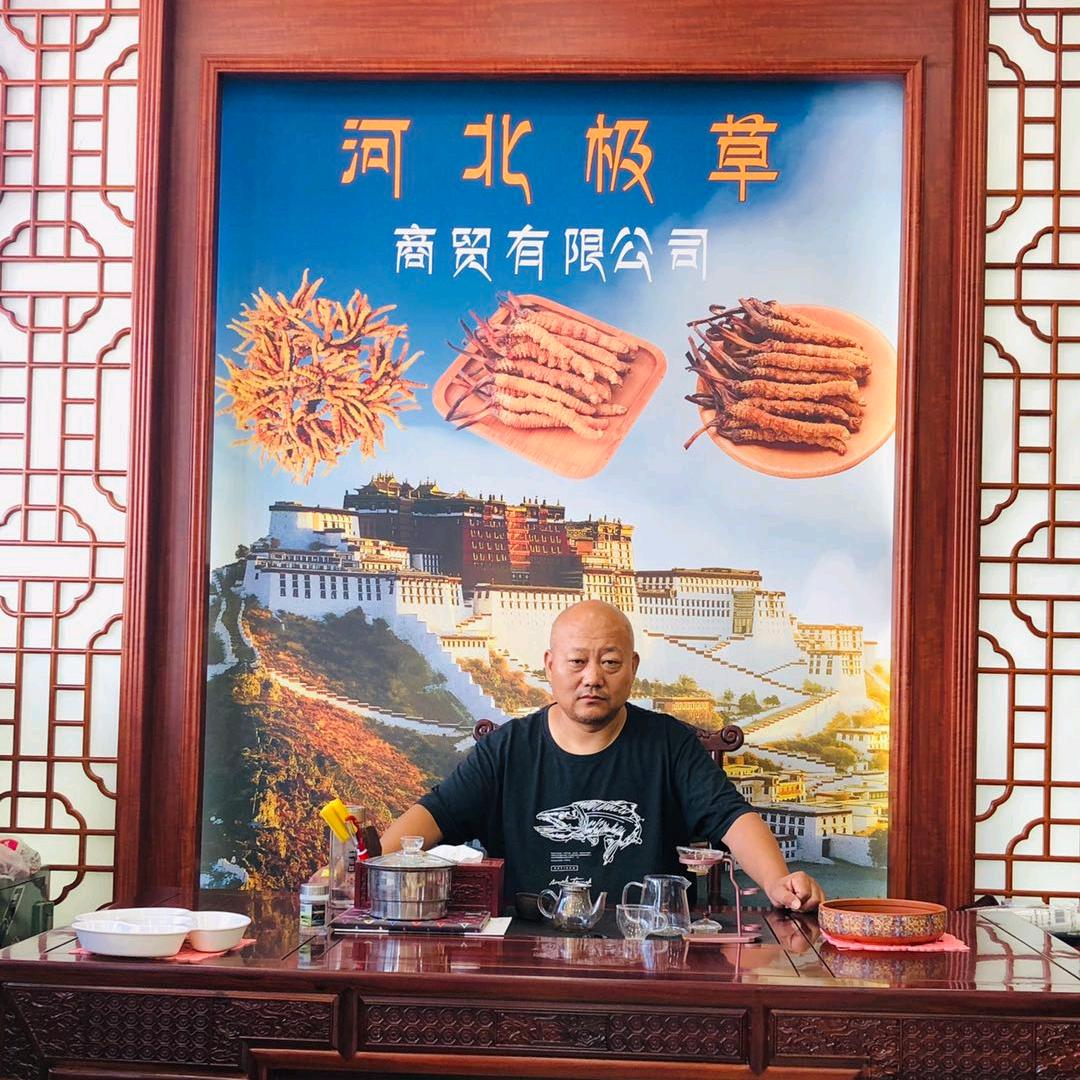 河北极草。聚雄中药。