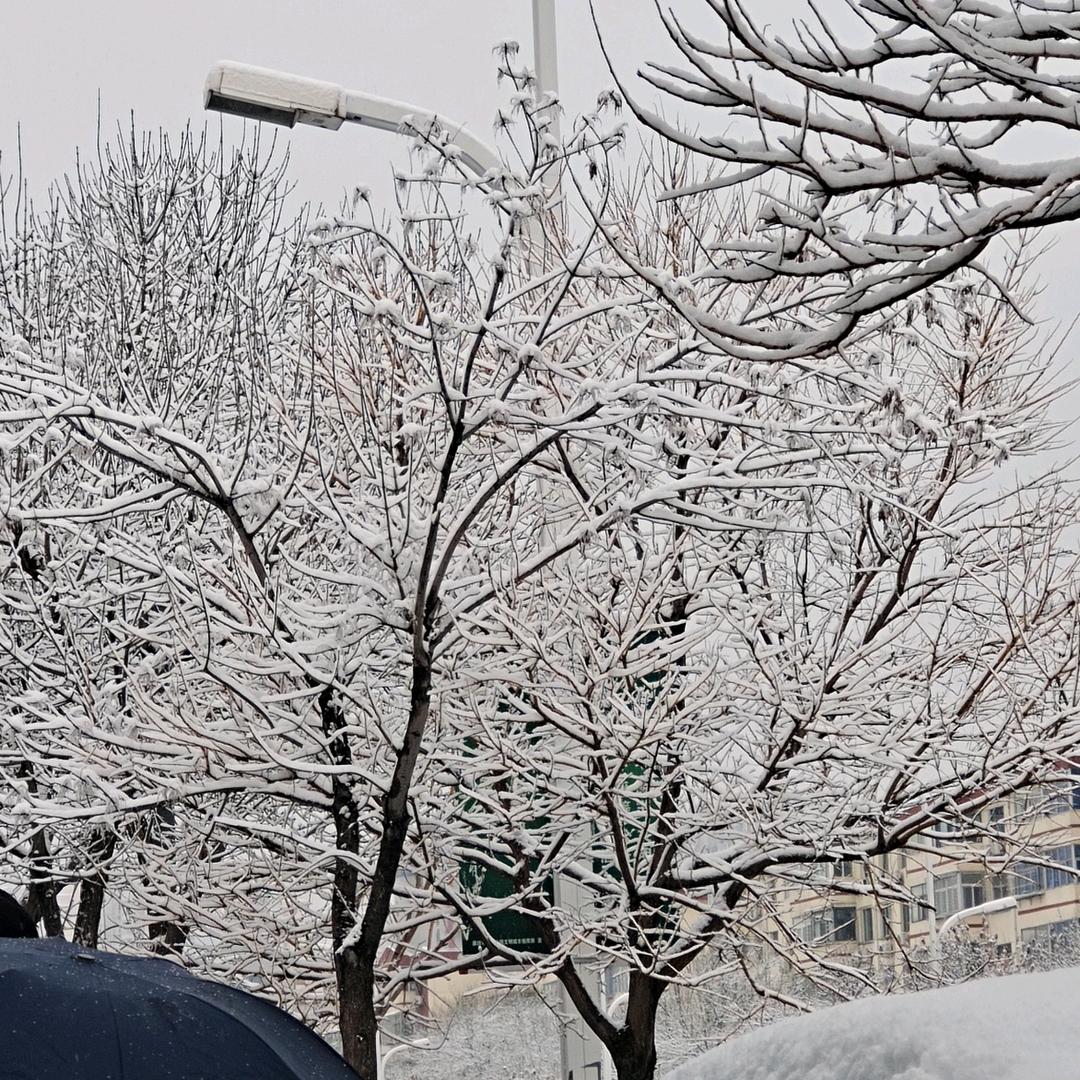 十字路口往哪走