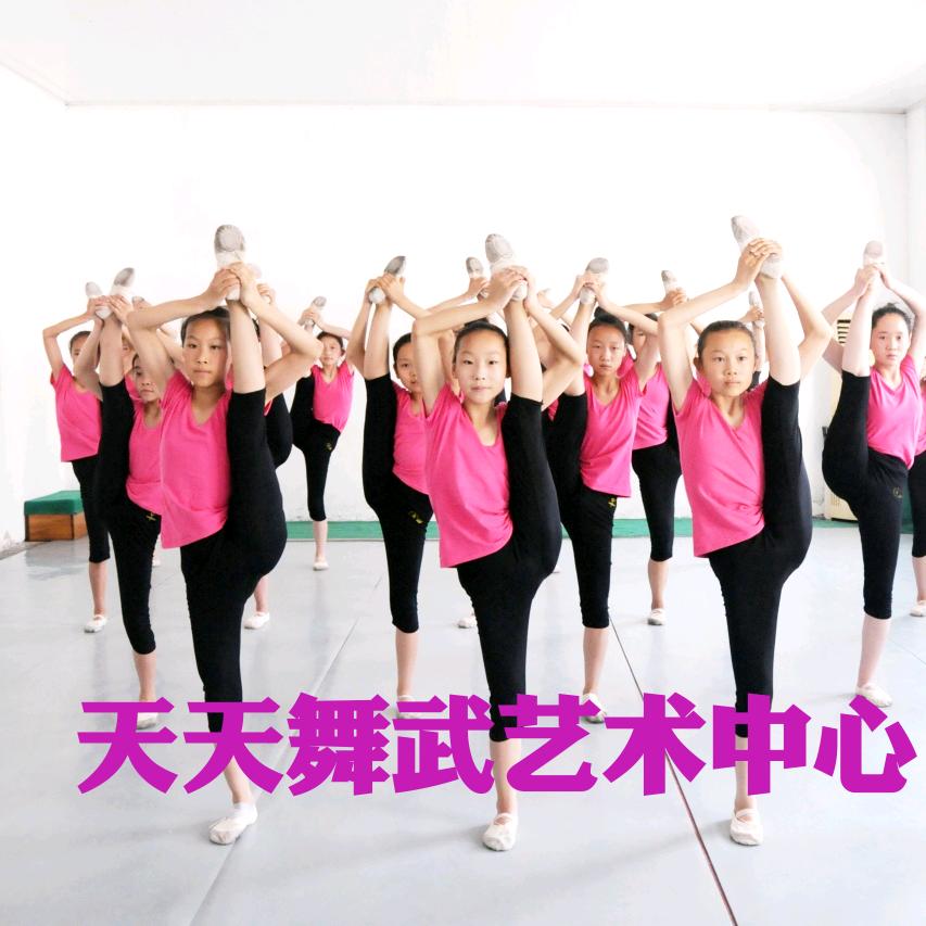 沁阳市天天舞武艺术中心