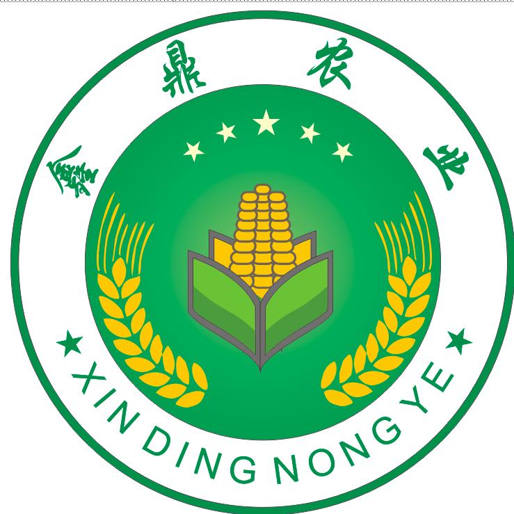 原乡新农人
