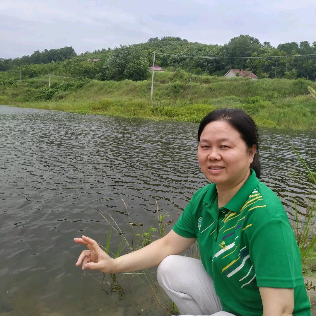 名流鲜花