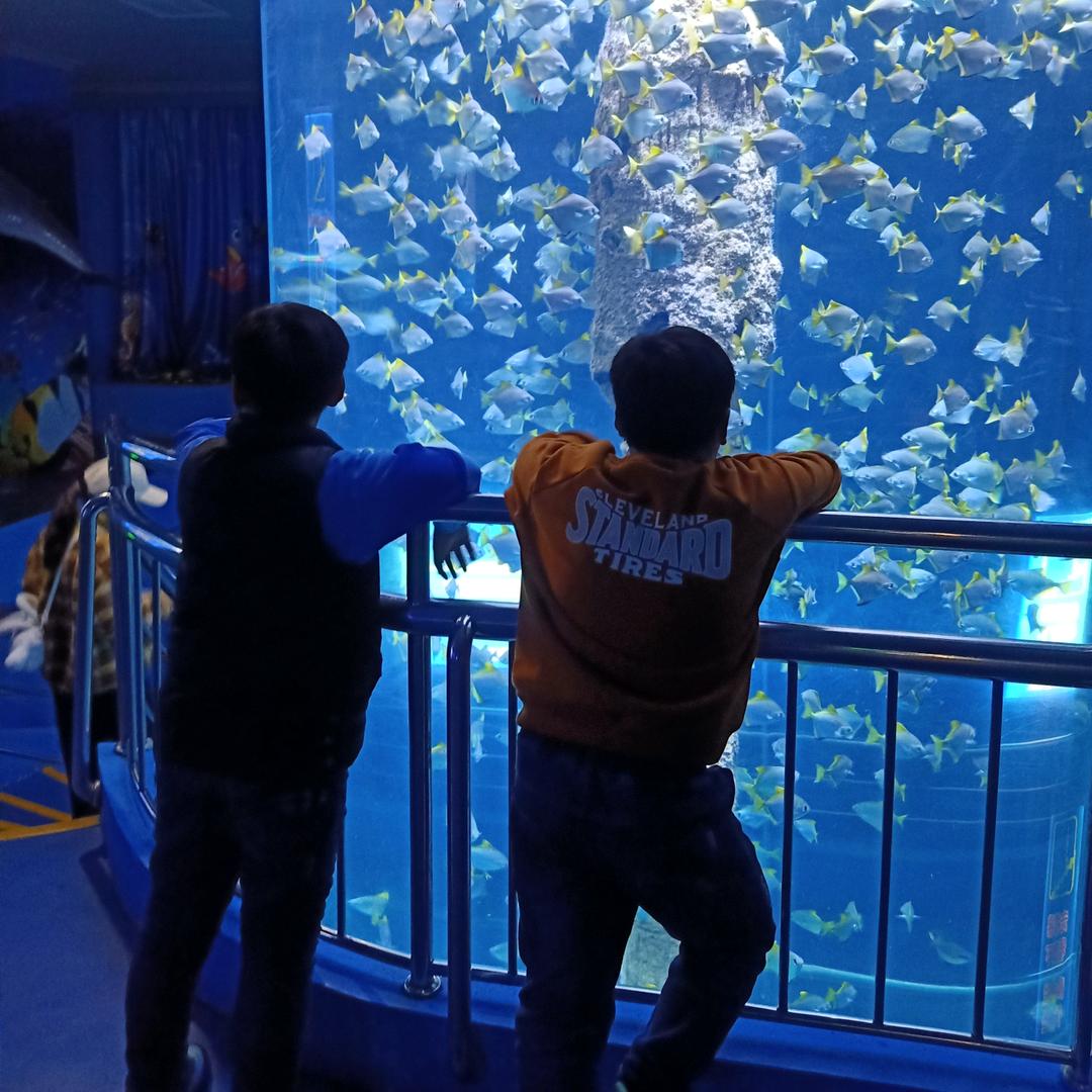 錵開落幕好物推荐