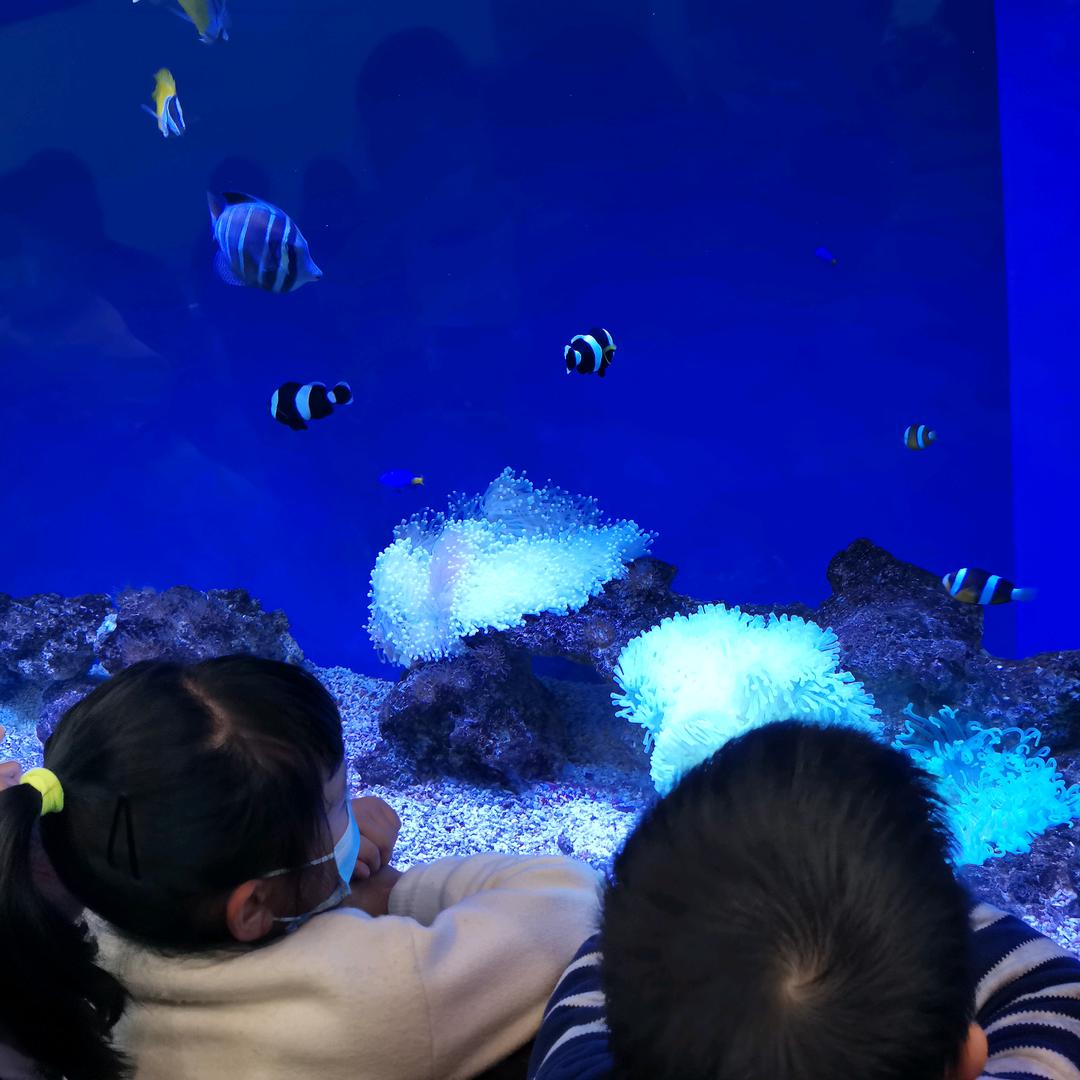 大伟