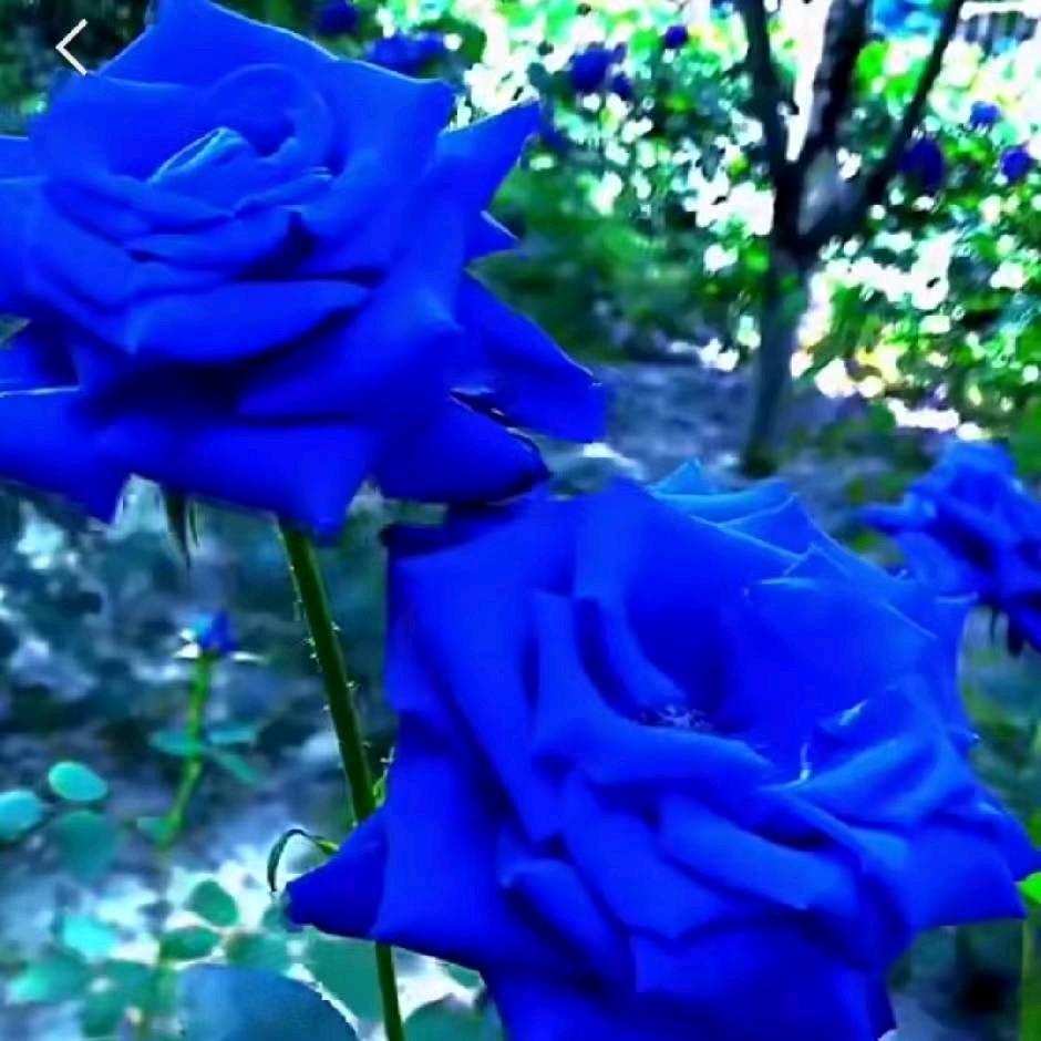 ❤️天天好运❤️