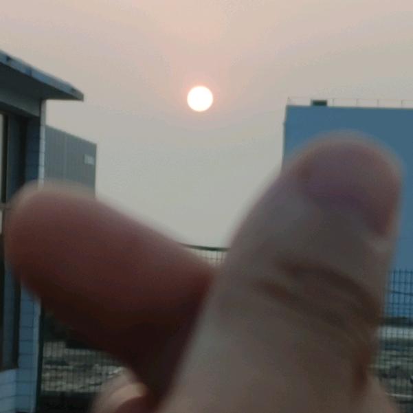 三白虎山头像