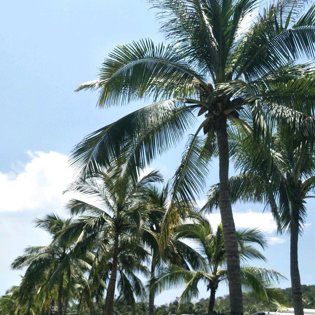 知足常乐~顺心如意