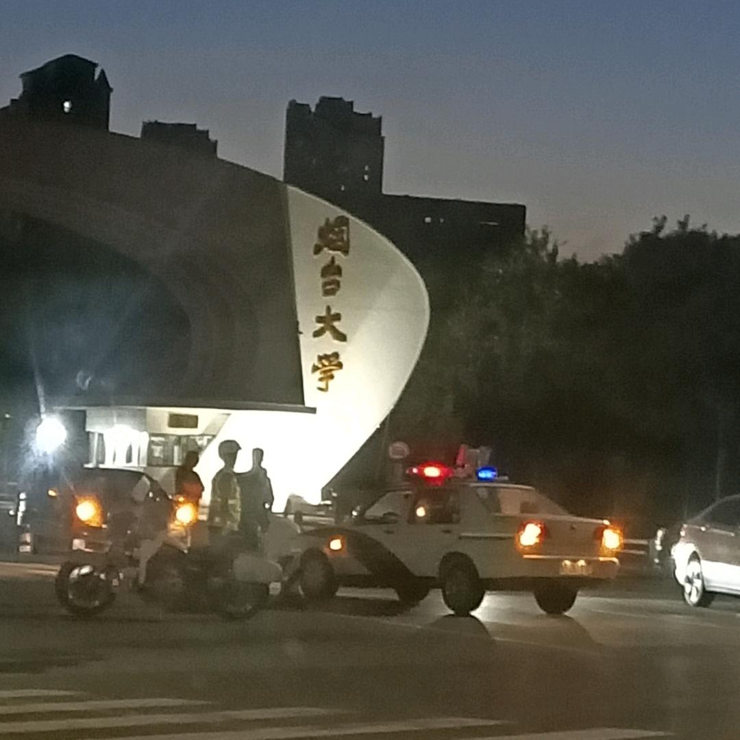 已重置平平淡淡才是真