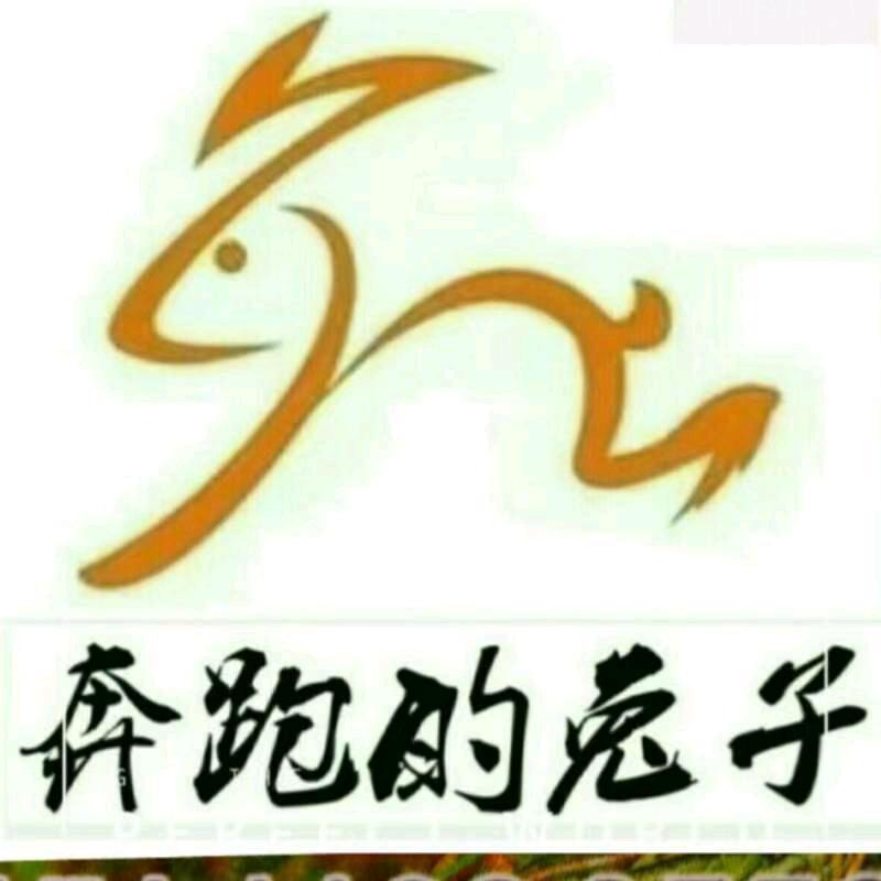 南湘食生态农业
